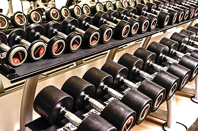 Kurzhantelsatz der Marke LifeFitness kompletter Kurzhantelsatz von LifeFitness